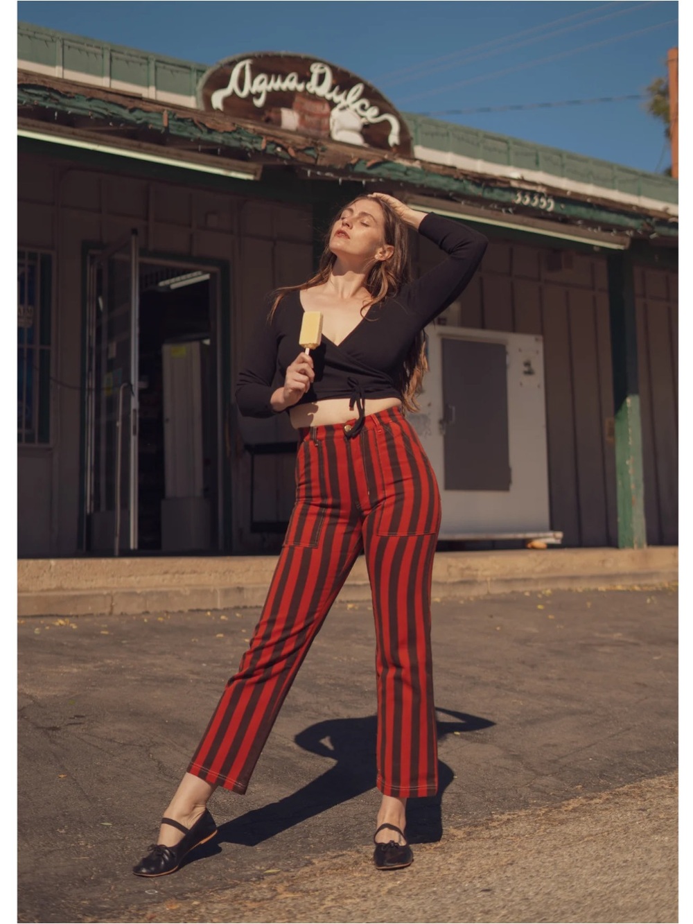 Big Bud Press Stripe Pants, XS